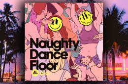 Basement Freaks Naughty Dancefloor WAV