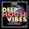 Eksit Sounds Deep House Vibes WAV