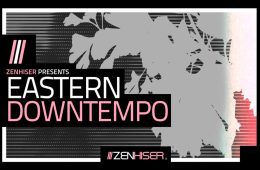 Zenhiser Eastern Downtempo WAV
